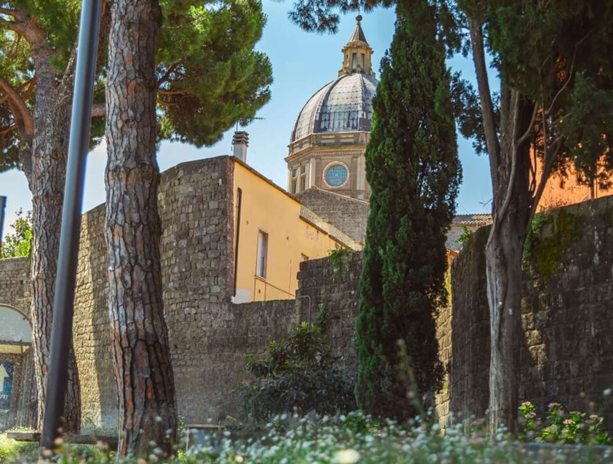 ambiente viterbo